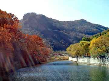 管家婆黑白马报图库，长春阳光板